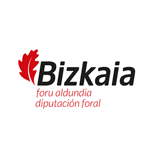 Logo Bizkaiko Foru Aldundia